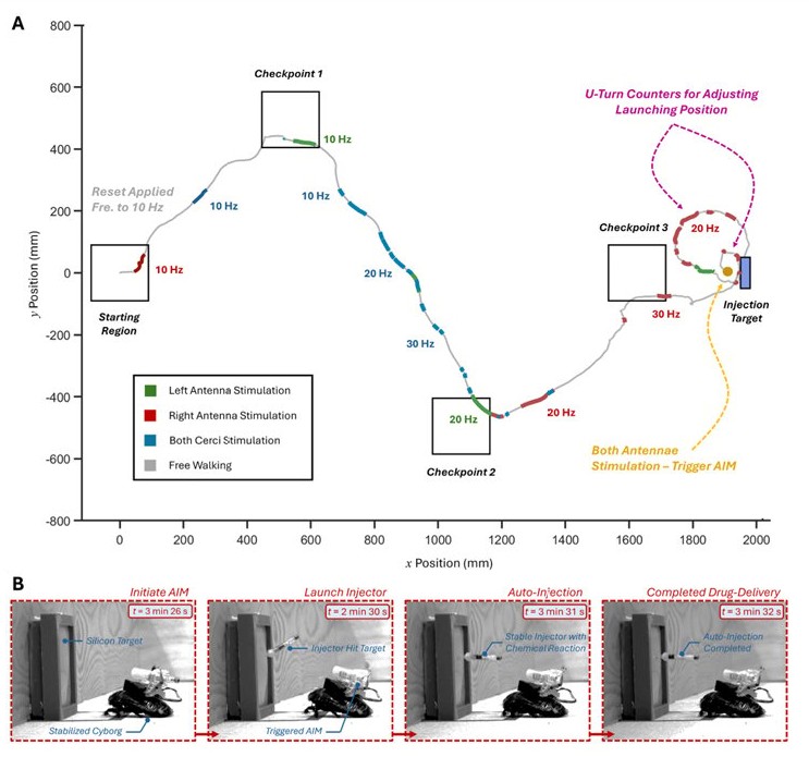 Representative trial of successful in situ drug-delivery by single paramedic cyborg cockroach.