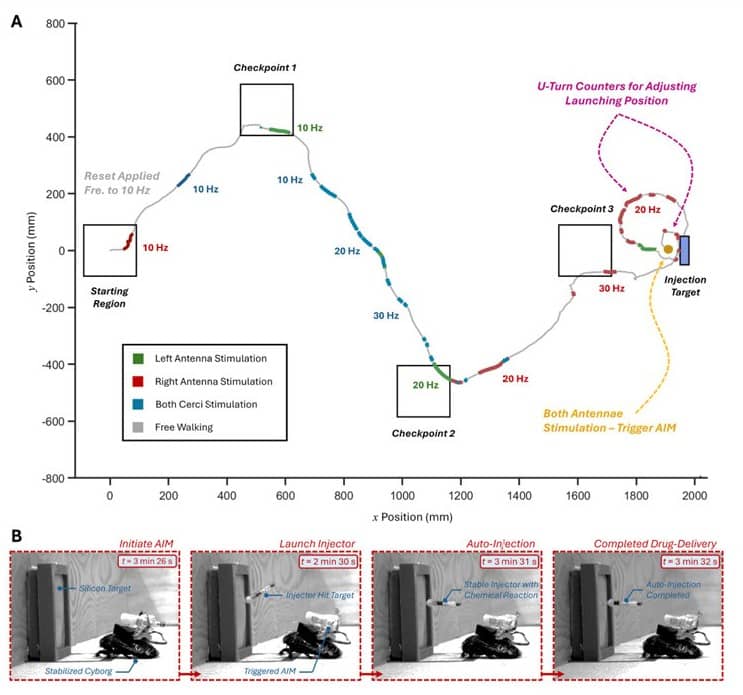 Representative trial of successful in situ drug-delivery by single paramedic cyborg cockroach.