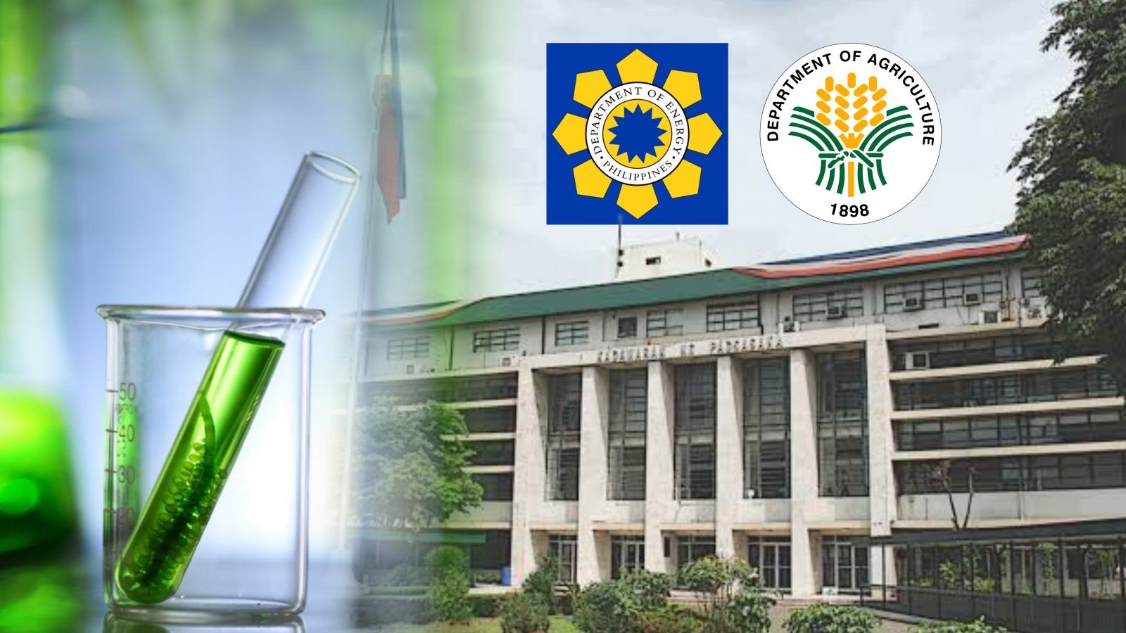 DA, DOE hunt cheaper feedstock for bioethanol