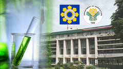 DA, DOE hunt cheaper feedstock for bioethanol