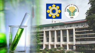 DA, DOE hunt cheaper feedstock for bioethanol