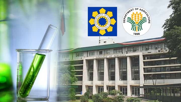 DA, DOE hunt cheaper feedstock for bioethanol