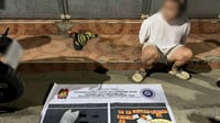 Illegal pre-registered SIM seller behind bars