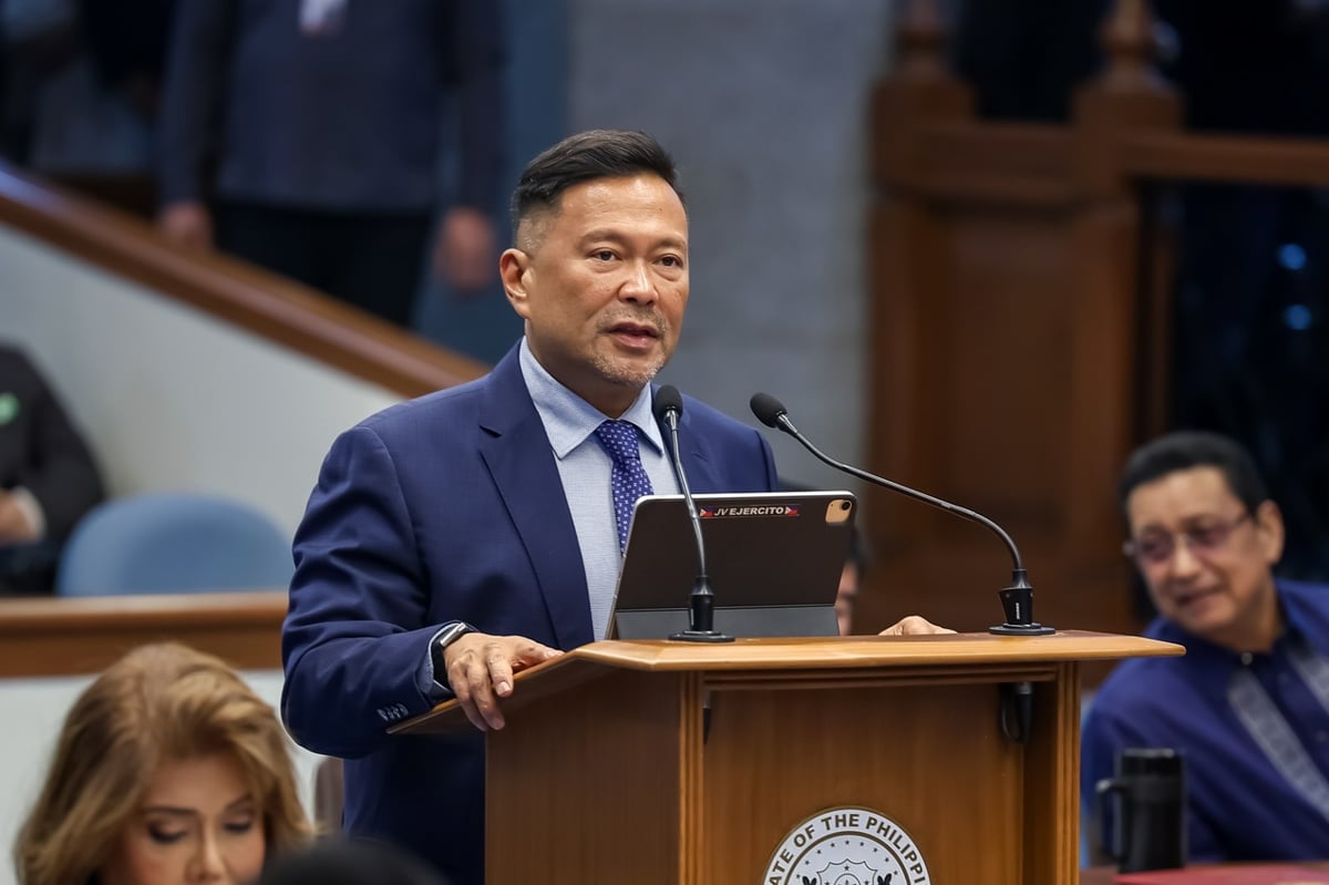 Senate panel to block funding for new flood control projects amid P83.8-M DPWH proposal