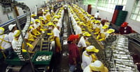 Philippine manufacturing hits 9-year high in August