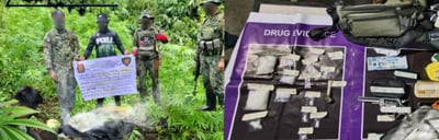 Ilocos drug ops net 146 arrests, P6.59M haul