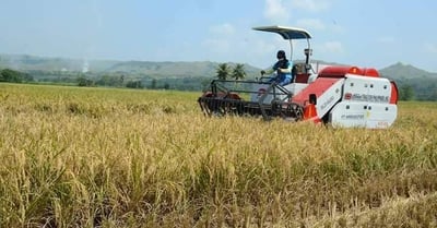Kalinga farmers strengthen stance vs mining