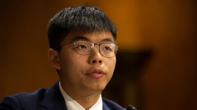 Democracy activist pleads guilty to foreign collusion