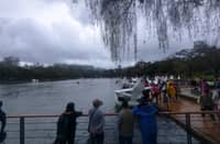 Unauthorized Burnham Lake boat fee hikes probed