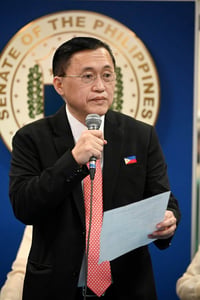 Go cites 300% ER capacity as warning amid leptospirosis surge