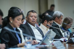 Boying asks for P1.84-B Ombudsman budget hike for new office building, others