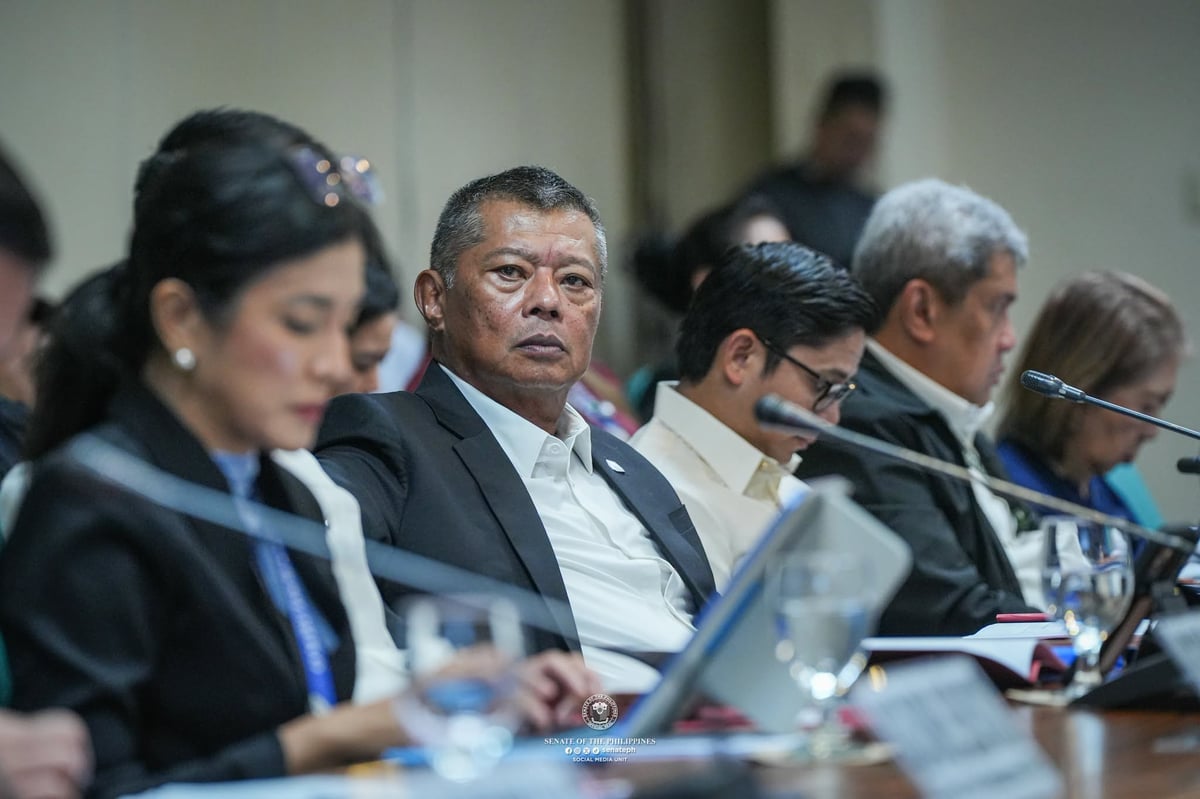 Boying asks for P1.84-B Ombudsman budget hike for new office building, others