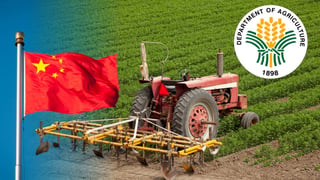 DA studies China's high-tech farming model