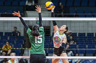 Chameleons keep championship bid alive