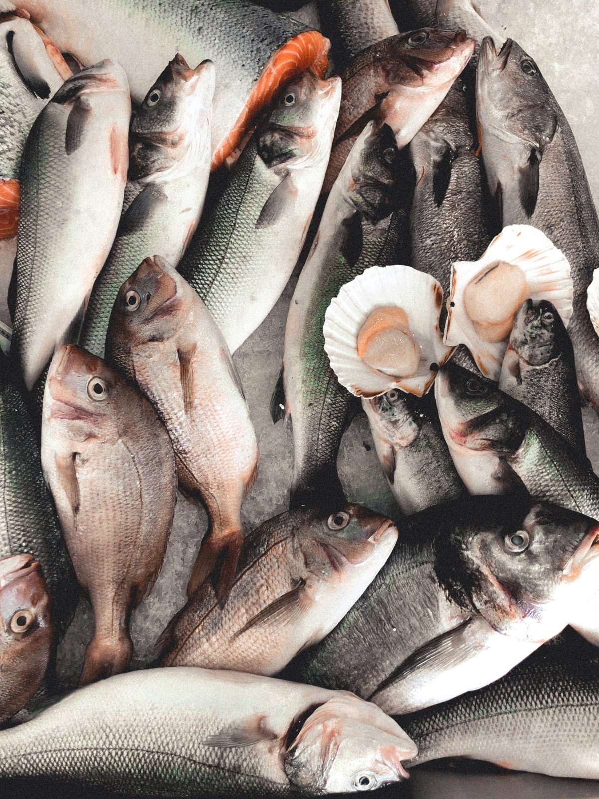 FISH is a nutrient-rich protein source that can be included in a balanced diet to support muscle maintenance.
