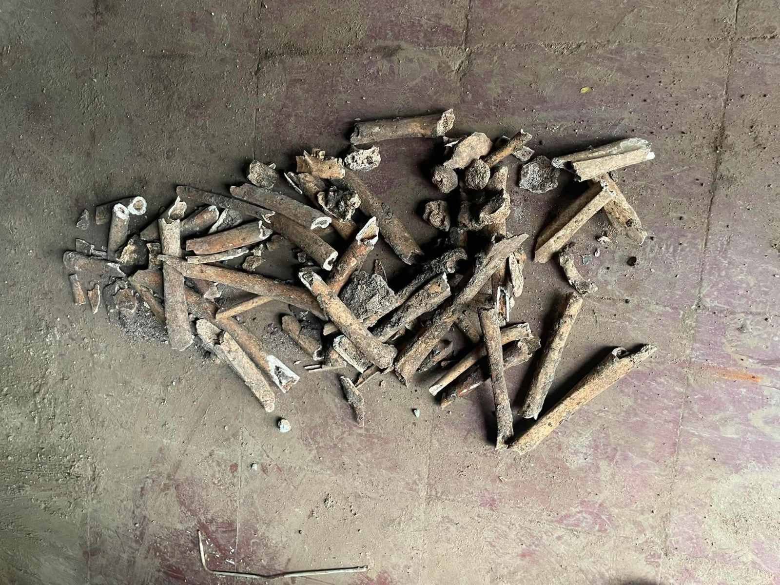 Skeletal remains discovered during excavation at 300-year-old church in Sarrat
