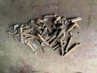 Skeletal remains discovered during excavation at 300-year-old church in Sarrat
