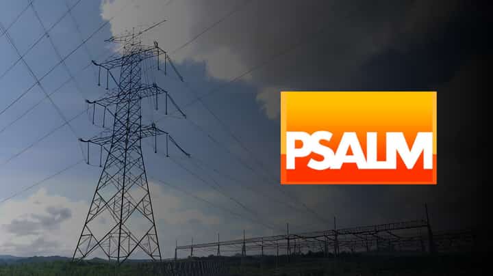 PSALM puts Diliman property on sale for P11.09B