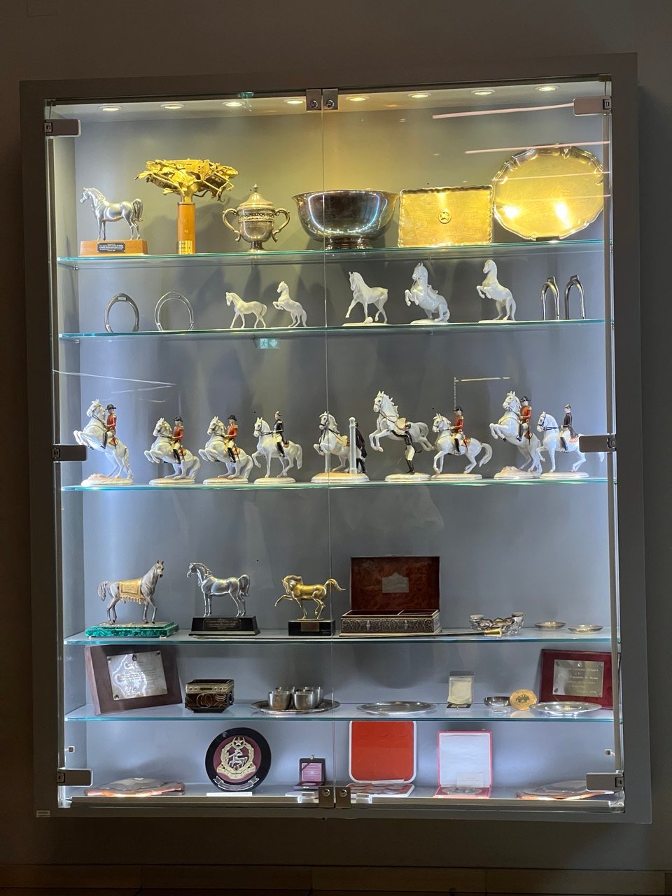 A collection of trophies and memorabilia.
