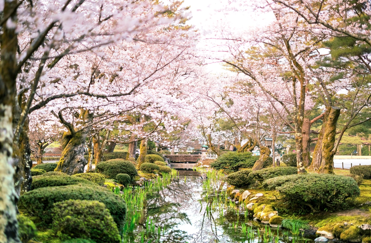 KANAZAWA, Japan.