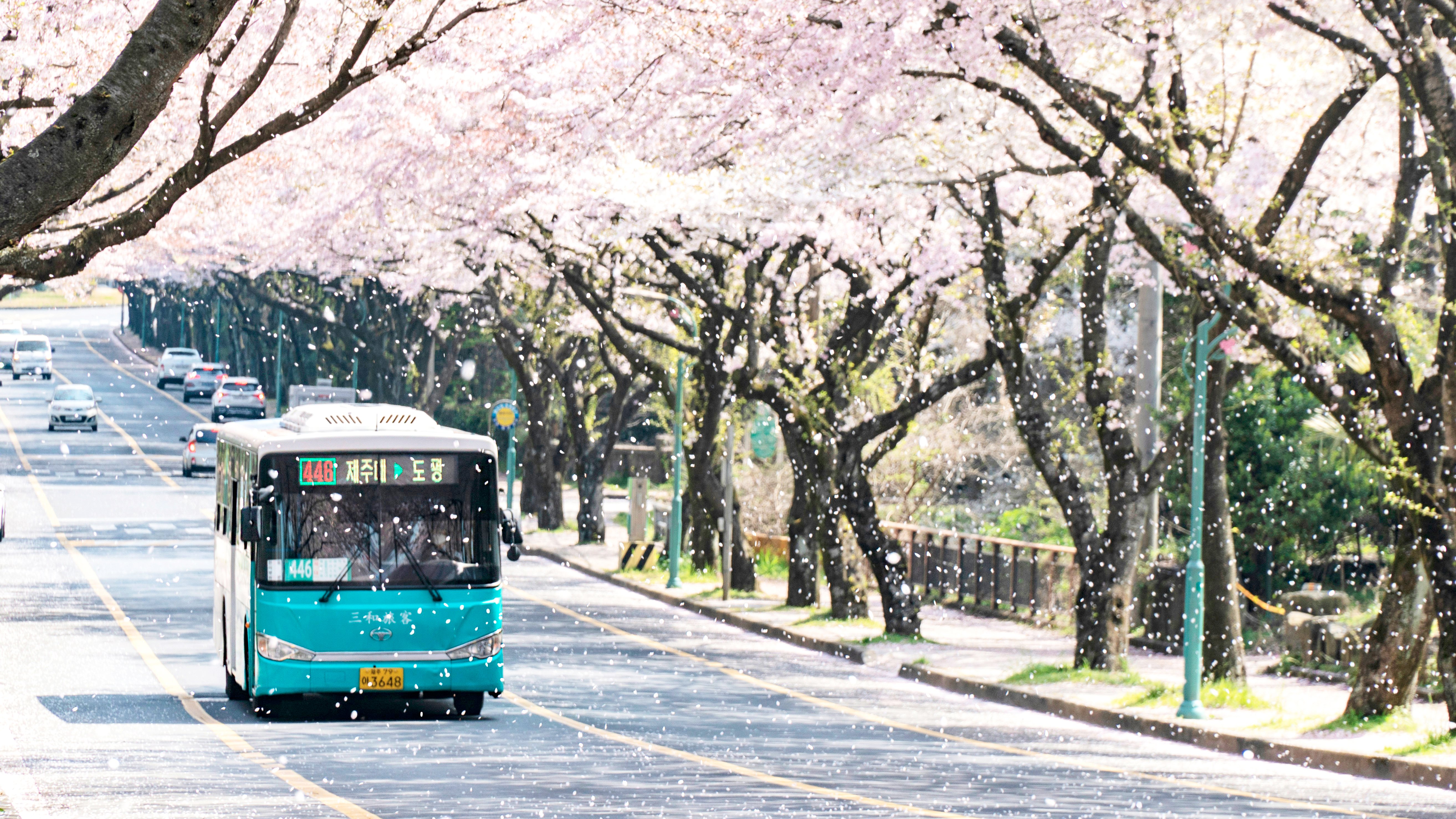 Driven to explore: Global resurgence of road trip