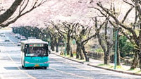 Driven to explore: Global resurgence of road trip