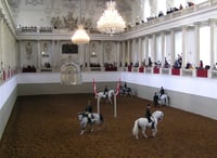 The Spanish Riding School — In Vienna?