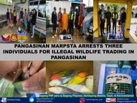 Three arrested for illegal wildlife trading in Pangasinan