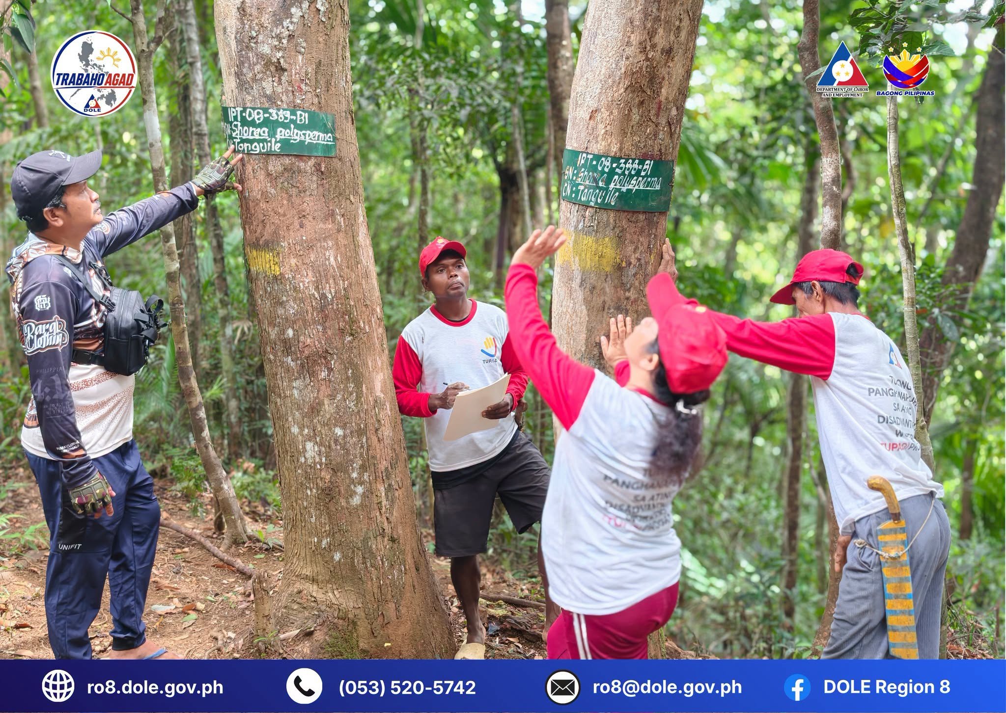 DOLE employs Mamanwa IPs to protect Biliran forest