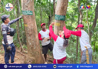 DOLE employs Mamanwa IPs to protect Biliran forest