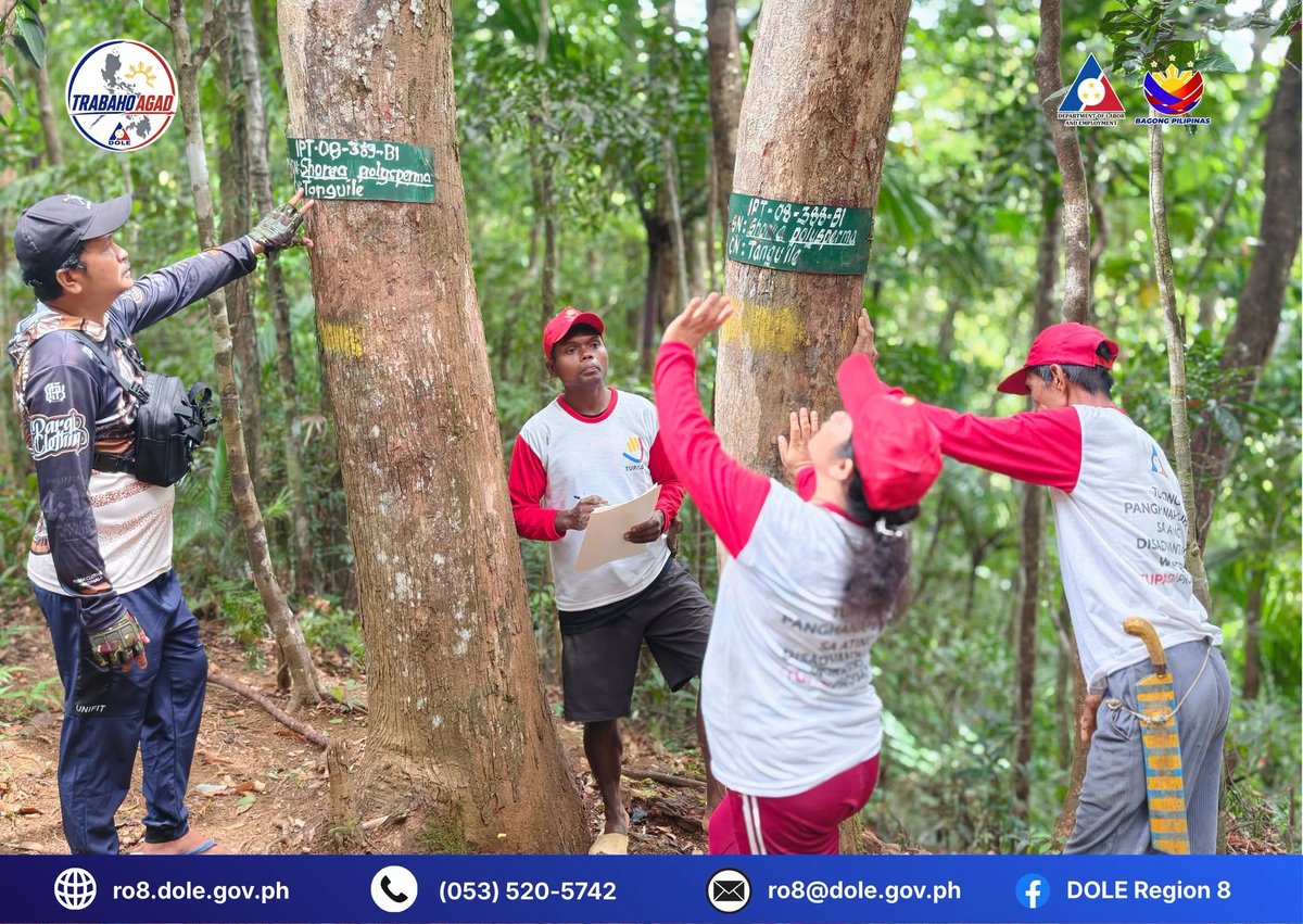 DOLE employs Mamanwa IPs to protect Biliran forest