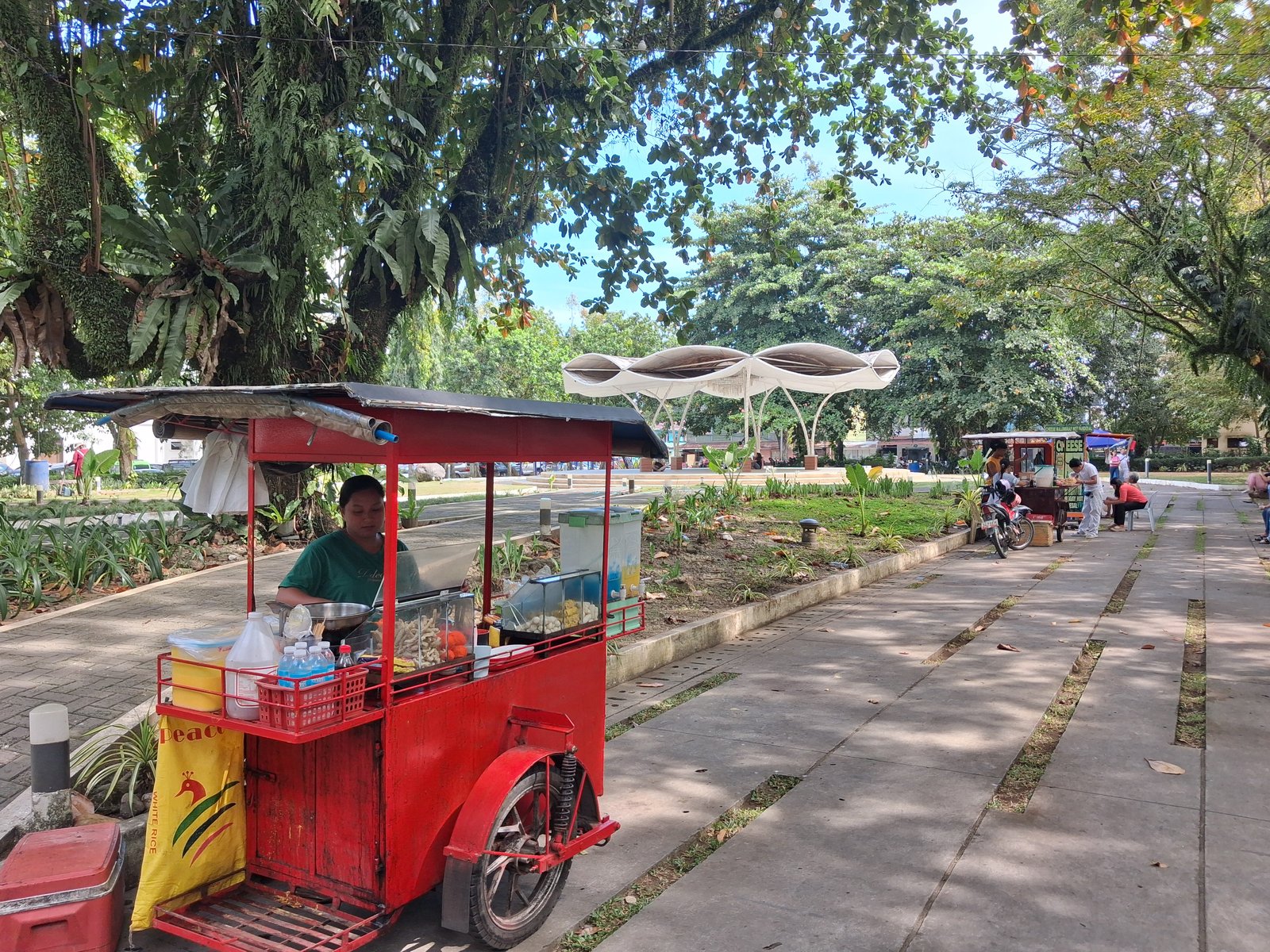 FEMALE vendor selling street foods inside the plaza.