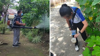 Albay dengue cases jump 27%
