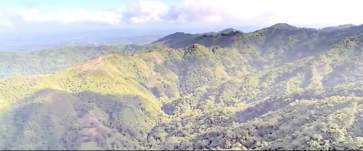 CARBONPH is Aboitiz Foundation’s 40-year commitment to protect and restore forest landscapes in Cebu, primarily within the Central Cebu Protected Landscape and surrounding areas.