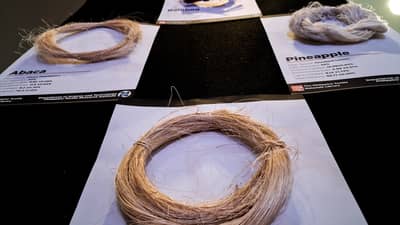 Fibers from bandala, a Abaca hybrid (bottom), pineapple (right), bamboo (top) and abaca (left) dipslayed during the opening of the 2026 Philippine Textile Congress held at UP Diliman, Quezon City on Monday, September 7.