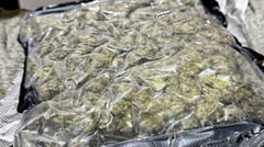 K9 sniffs out P630K kush; agent arrested