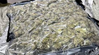 K9 sniffs out P630K kush; agent arrested