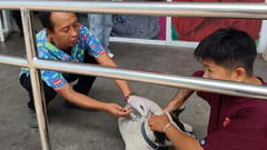 SM City Davao vaccinates 118 pets