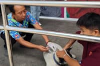 PETS get vaccine protection at SM City Davao.