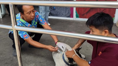 SM City Davao vaccinates 118 pets