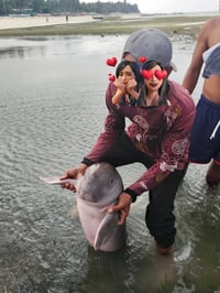 Juvenile dugong found on Liwagao Island