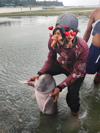 Juvenile dugong found on Liwagao Island