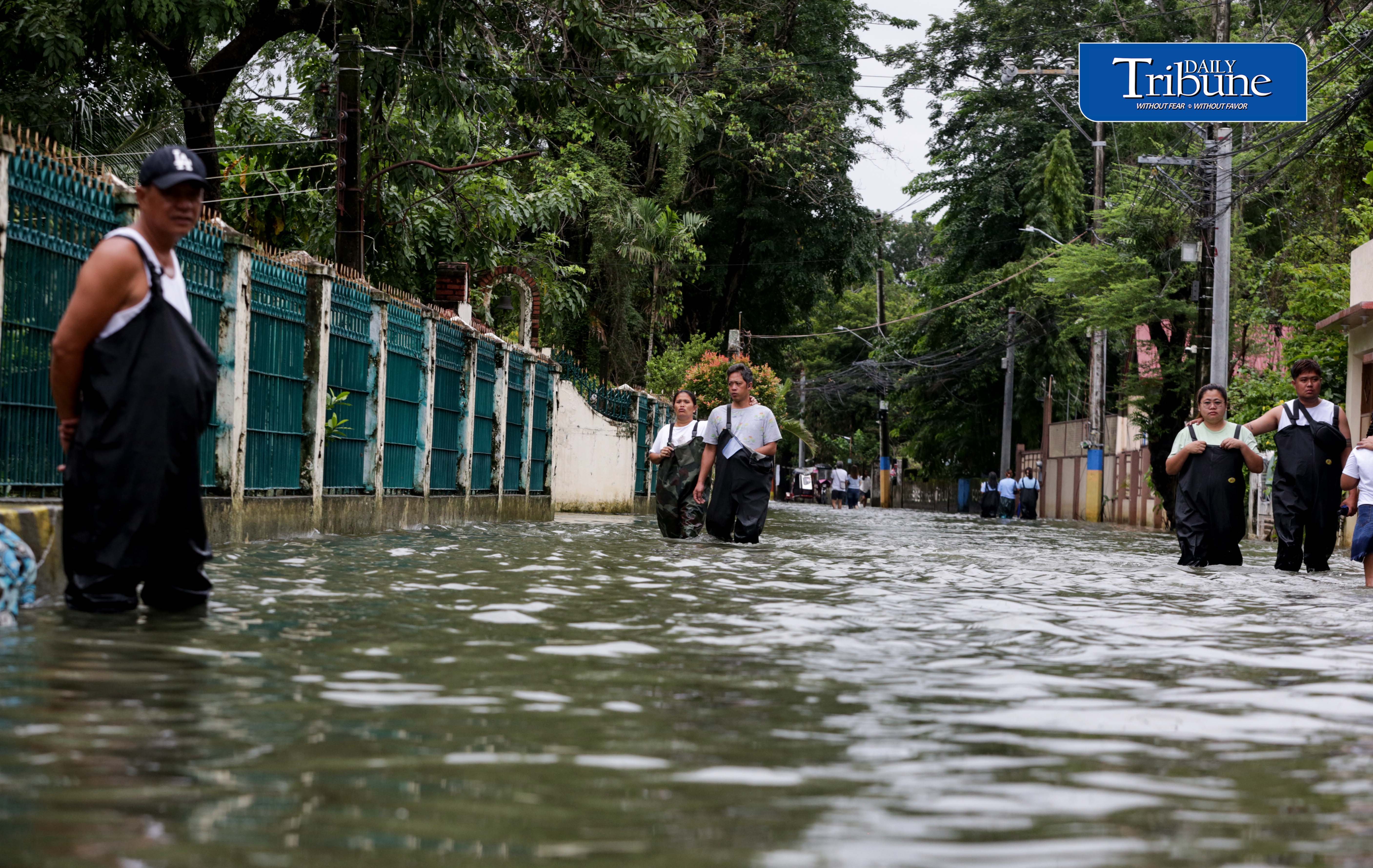 Leptospirosis infections decline, but annual tally rises