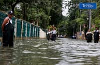 Leptospirosis infections decline, but annual tally rises