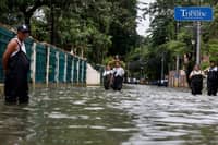 Leptospirosis infections decline, but annual tally rises