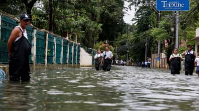 Leptospirosis infections decline, but annual tally rises