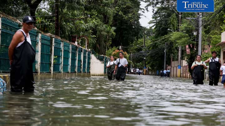 Leptospirosis infections decline, but annual tally rises
