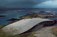 A WHALE-SHAPED museum is taking form on the northern coast of Norway, with The Whale set to open in Andenes in June next year.