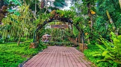 Davao: What comes to mind?