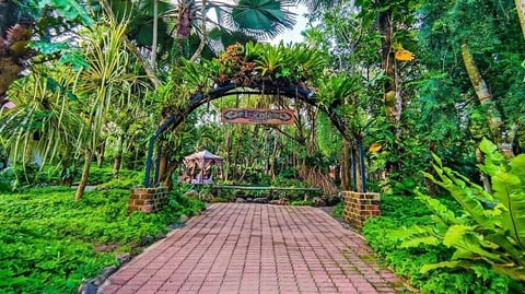 Davao: What comes to mind? 